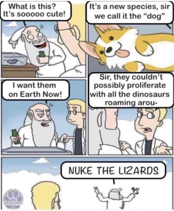 Lizard 01.jpg